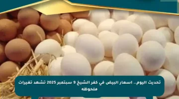 تحديث اليوم.. أسعار البيض في كفر الشيخ 9 سبتمبر 2025 تشهد تغيرات ملحوظة